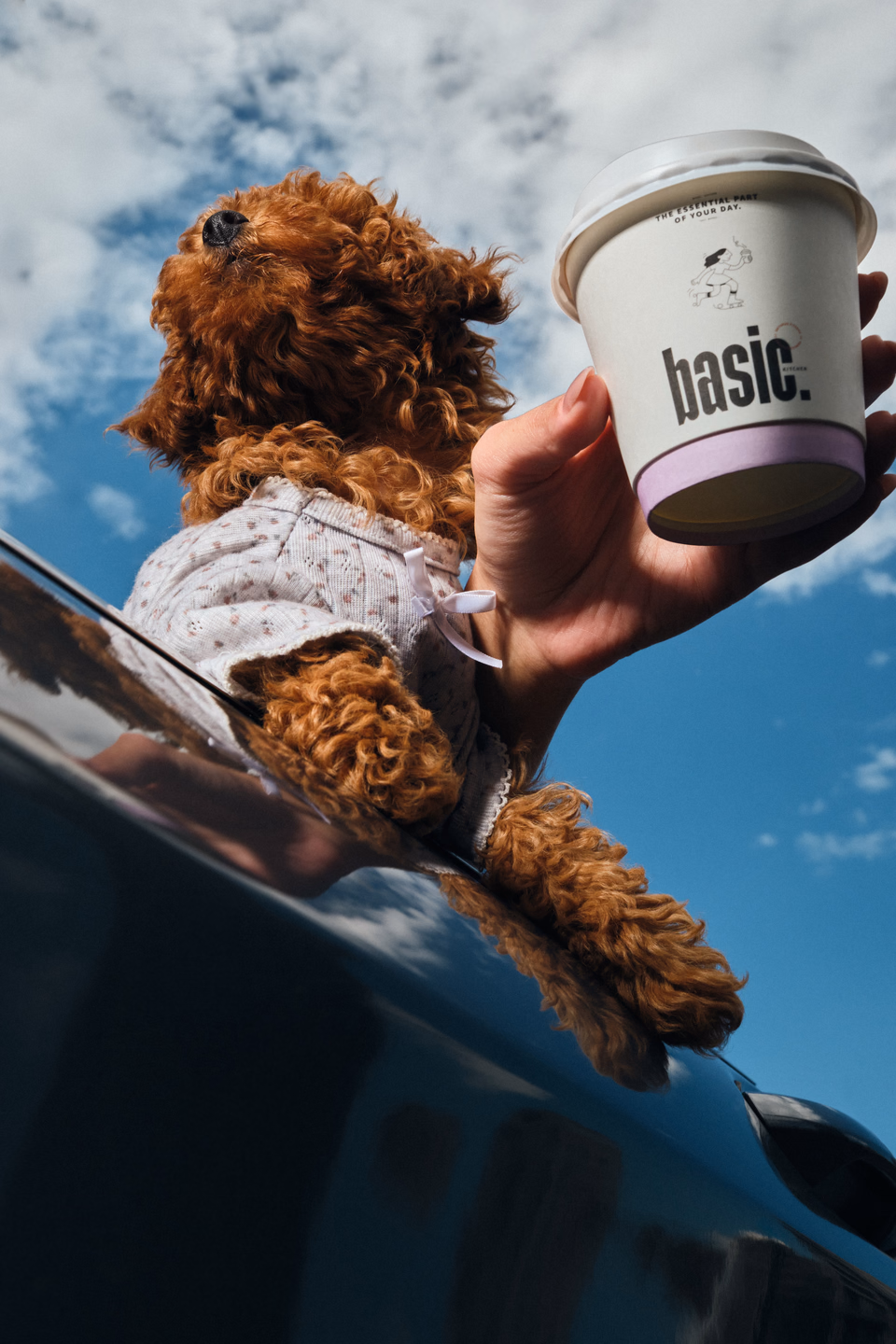 Basic Kitchen takeaway cup